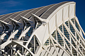 Museum of Science Príncipe Felipe, City of Arts and Sciences by S. Calatrava. Valencia. Comunidad Valenciana, Spain