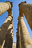 Columns. Temple of Luxor (ancient egyptian city of Thebes). Luxor. Egypt.