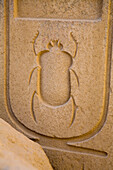 Bas-relief beetle. Karnak Temple. Luxor, Egypt