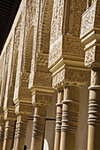 Detail of the Courtyard of the Lions, Alhambra. Granada. Andalusia. Spain