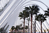 The Umbracle, City of Arts and Sciences, by S. Calatrava. Valencia. Spain
