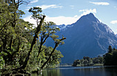 Mitre Peak (1692m). High mountain rising out of Milford Sound. Fiordland National Park. New Zealand