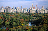 Central Park and buildings in Manhattan, New York City. USA