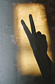 Eine Person, Eins, Farbe, Finger, Geheimnis, Geheimnisvoll, Gestik, Hand, Hände, Innen, Konzept, Konzepte, Körper, Körperteil, Körperteile, Licht, Mauer, Mauern, Mensch, Menschen, Schatten, Sieg, Silhouette, Silhouetten, Symbol, Symbole, Vertikal, Wand, W