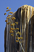 Hierve el agua (the water boils), petrified waterfall, Oaxaca, Mexico