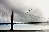 Golden gate bridge. San Francisco. USA.
