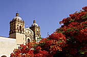 Santo Domingo church. Oaxaca. Mexico.