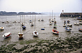 Fishing port, low tide. Erquy. Brittany, France