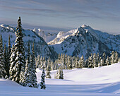 Totoosh Range seen from Mazama Ridge. Mt Rainier National Park. Washington. USA