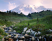 Mount Rainier and Edith Creek. Mount Rainier National Park. Washington. USA.