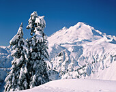 Mount Baker from Kulshan Ridge in winter. Heather Meadows Recreation Area. Washington. USA.