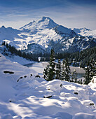 Winter in the Mount Baker Wilderness. Washington. USA.