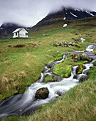 Farm and stream in the West fjords, Iceland