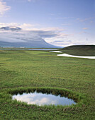 Wetlands along Eyjafjördur near Dalvík. Iceland
