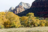 Autumn in Zion National Park. Utah, USA