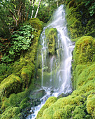 Oregon cascades. USA.