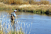 Man fly fishing. Silver Creek, Idaho. USA