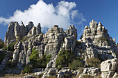 Erosion working on Jurassic limestones. This is the biggest Karstic landscape in Europe. The origin is the sea floor dating from 150 million years ago. Natural park of Torcal de Antequera. Antequera. Málaga province. Andalucia. Spain