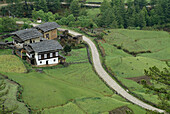 Paddy fields, Bhutan