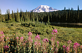 Sunrise at Mount Rainier. Reflection Lake. Washington. USA.