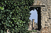 Column with capital seen trough a window covered with ivy, Pompeii archeological site. Naples, Campania, Italy