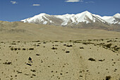 A photographer walk up to a hill in a unnamed desertic area. Ngrai Prefecture. Tibet province. China. Asia.