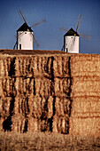 Windmill. Tembleque. Toledo province, Spain