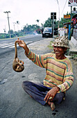 Man on roadside with pangolin. Central Bali, Indonesia