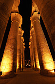 Night view of columns reaching skyward. Luxor Temple. Egypt