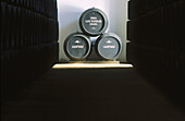 Lustau sherry barrels in winery cellar. Jerez de la Frontera. Cádiz province, Spain