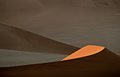 Desert light on dunes. Sossusvlei, Namib-Naukluft National Park, Namibia