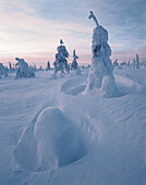 Riisitunturi National Park.Finland.
