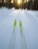 Skiing, forest, snow, winter, cold, motion, ski. Sälen. Dalana. Sweden.
