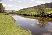 Sheep pastures by the River Clova in Glen Clova. Angus, Scotland