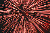 Red and white fireworks. Laval. Quebec, Canada
