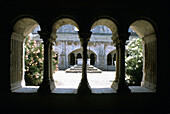 Francia, Provenza, Arles, abbazia di Mont Majour