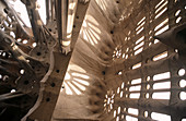 Interior of the Sagrada Familia by Gaudí. Still under construction. Barcelona. Spain