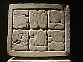 Glyphs from Palenque, Maya archeological site (600 - 800 A.D.). Chiapas, Mexico