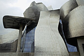 Guggenheim Museum, by F.O. Gehry. Bilbao. Biscay. Euskadi. Spain