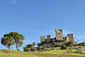 Castle of Almodóvar del Río. Córdoba province, Andalusia. Spain