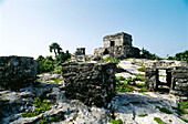Mayan ruins. Tulum. Quintana Roo. Mexico