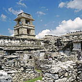 Mayan ruins. Palenque. Chiapas. Mexico