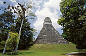 Mayan ruins of Tikal. Guatemala