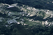 Pada Rice terrace. Scenic area. Yuanyang. China.