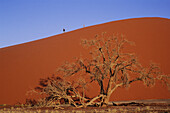 Person hiking up sand dune in Namibia.