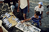 Fish. Zamboanga, Philippines
