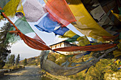 Prayer flags with the Paro Dzong (fortress monastery) in back, Paro, Bhutan
