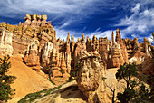 Hoodoos (spines of rock) in Bryce Canyon National Park, Utah