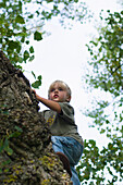 Junge klettert auf einen Baum