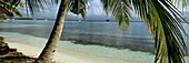 Green Island, San Blas Islands, Kuna Yala, Panama